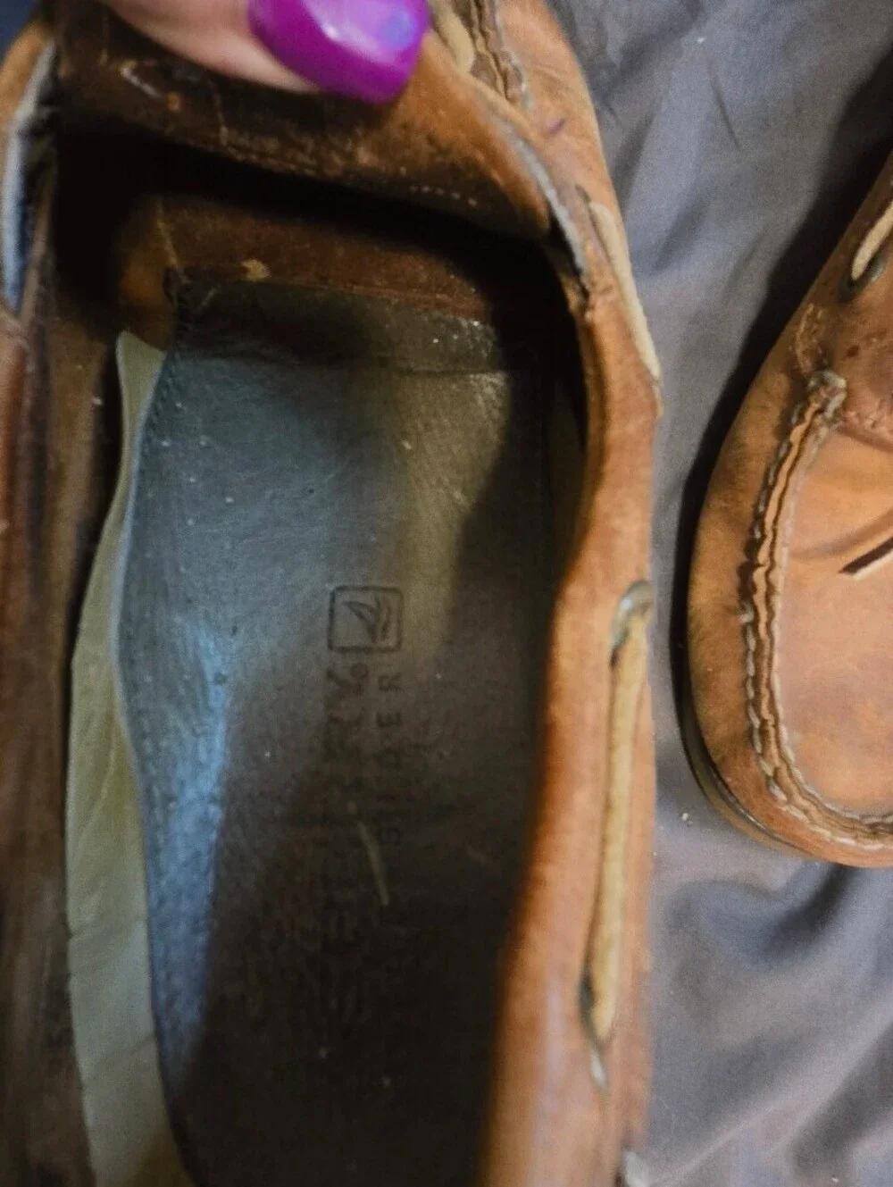 Sperry classics they